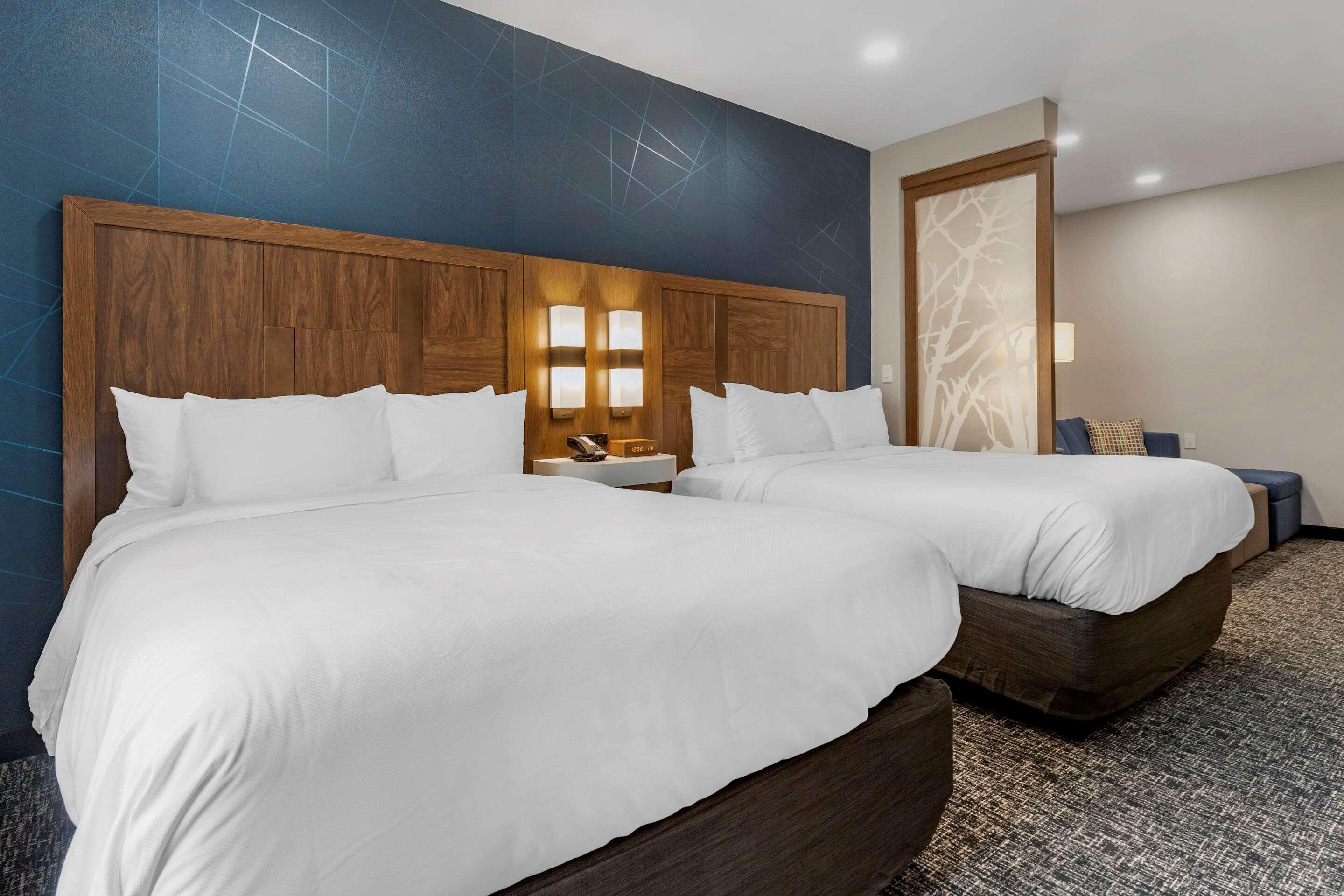 Comfort Suites Greenville Airport Buitenkant foto